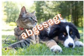 Absage Tiersegnung