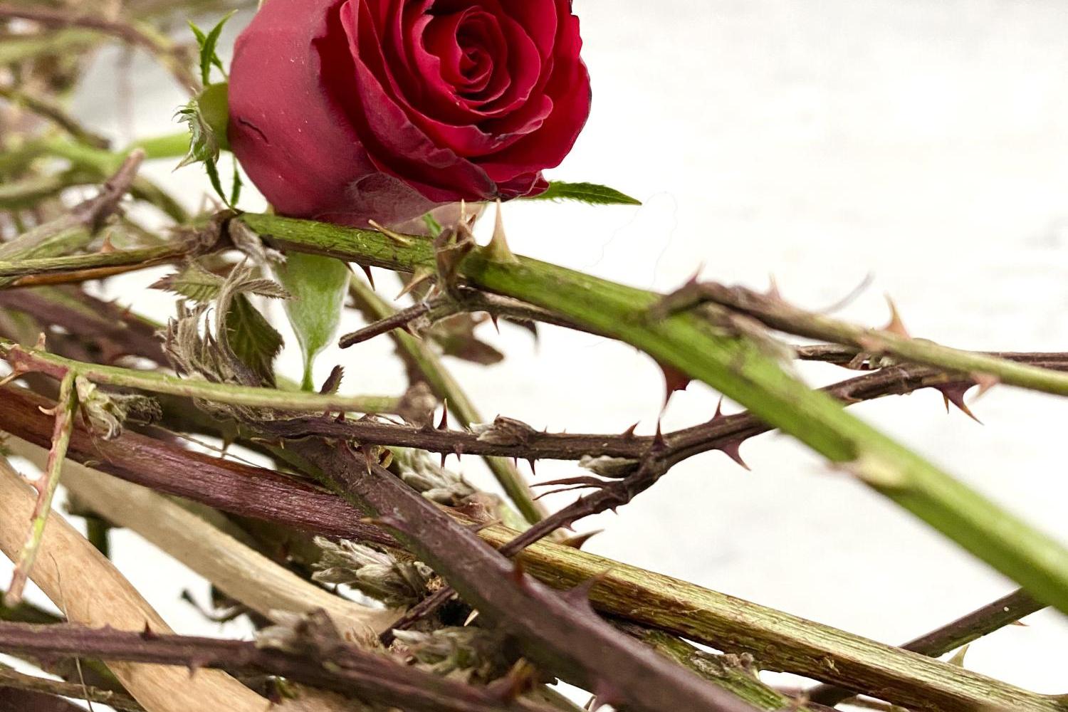 Dornenkrone mit Rose